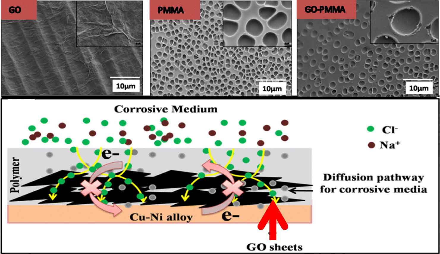 Microscopy images and schematic showing graphene oxide and PMMA composite coatings protecting a copper–nickel alloy