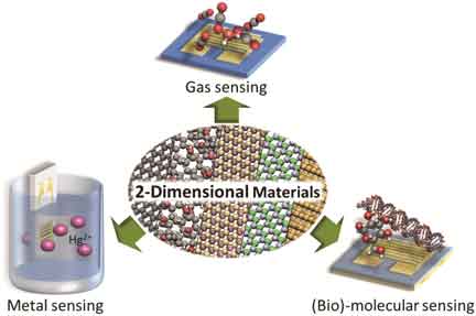 Diagram showing applications of two-dimensional materials in gas sensing, metal ion sensing and biomolecular sensing.